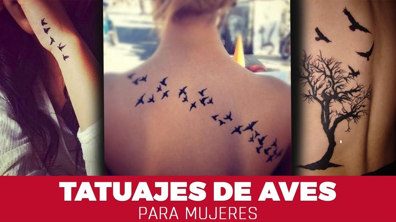 tatuajes de pajaritos en el brazo