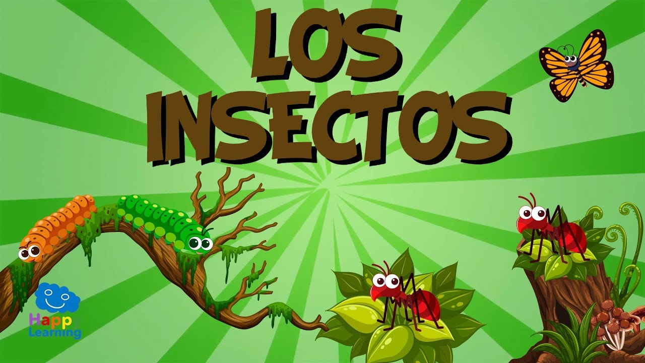 actividad de los insectos para preescolar