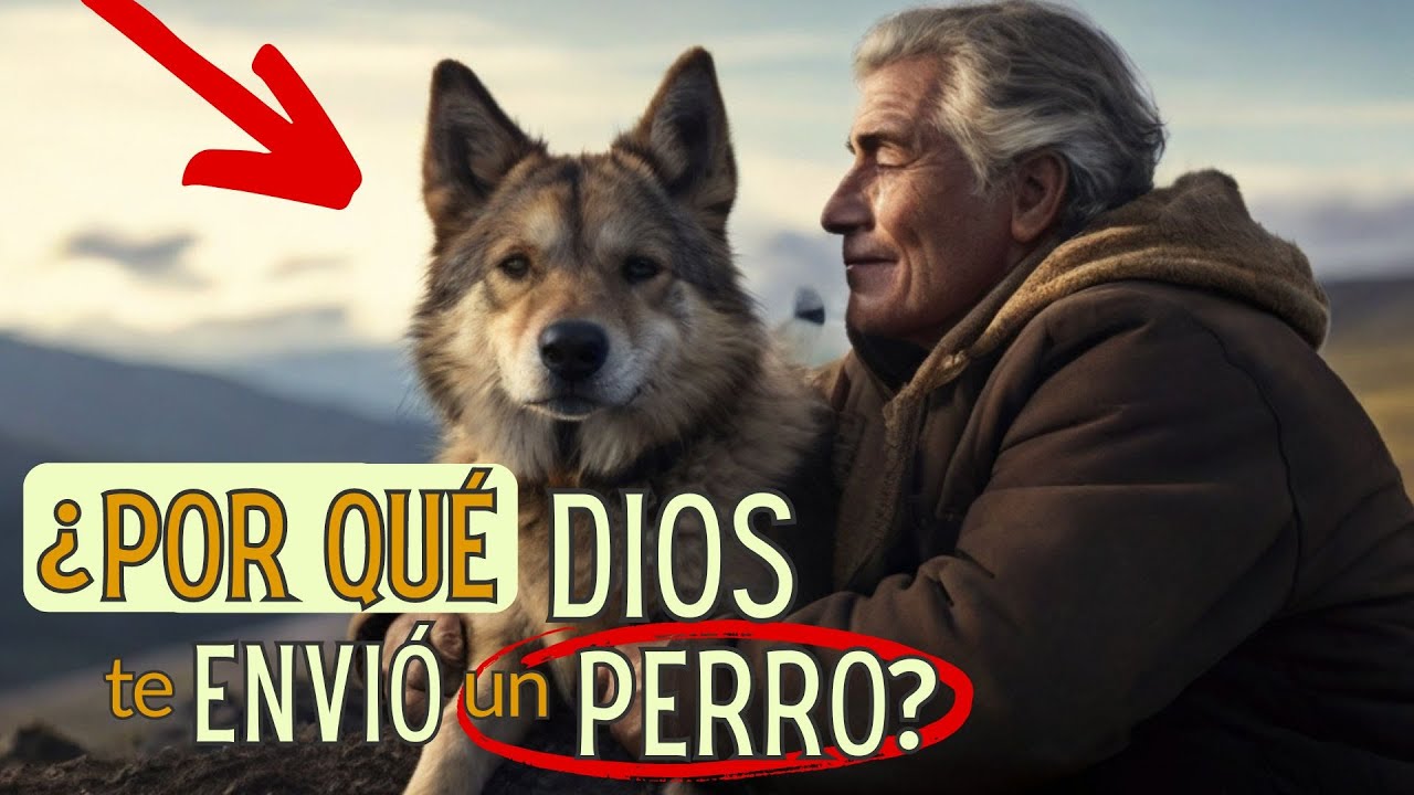 cuando un perro llega a tu vida