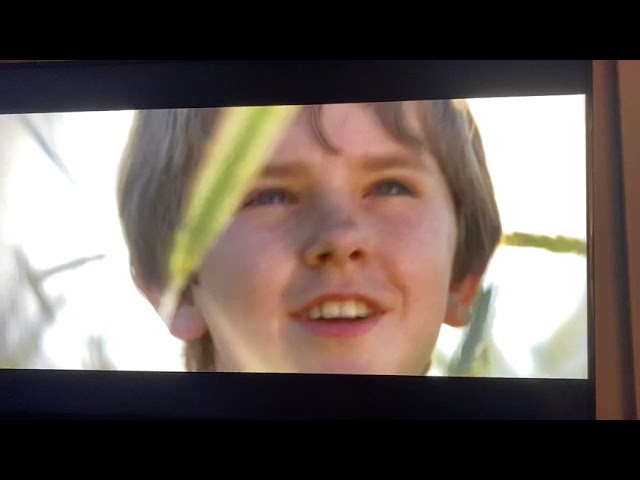 descargar pelicula el triunfo de un sueño