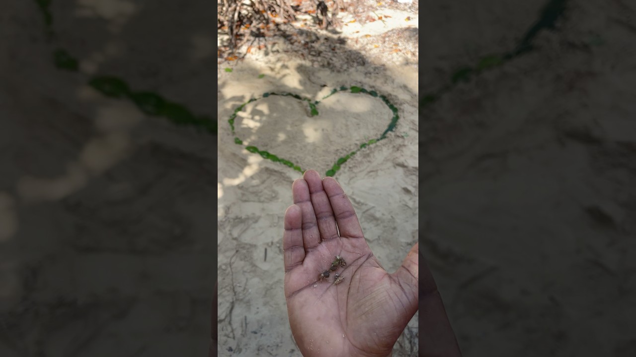 feliz dia del amor y la amistad tumblr