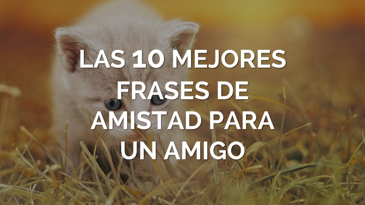 frases de buenas tardes para amigos