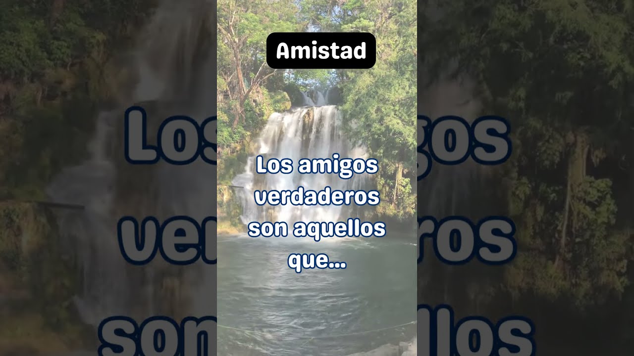frases para ex compañeros de colegio