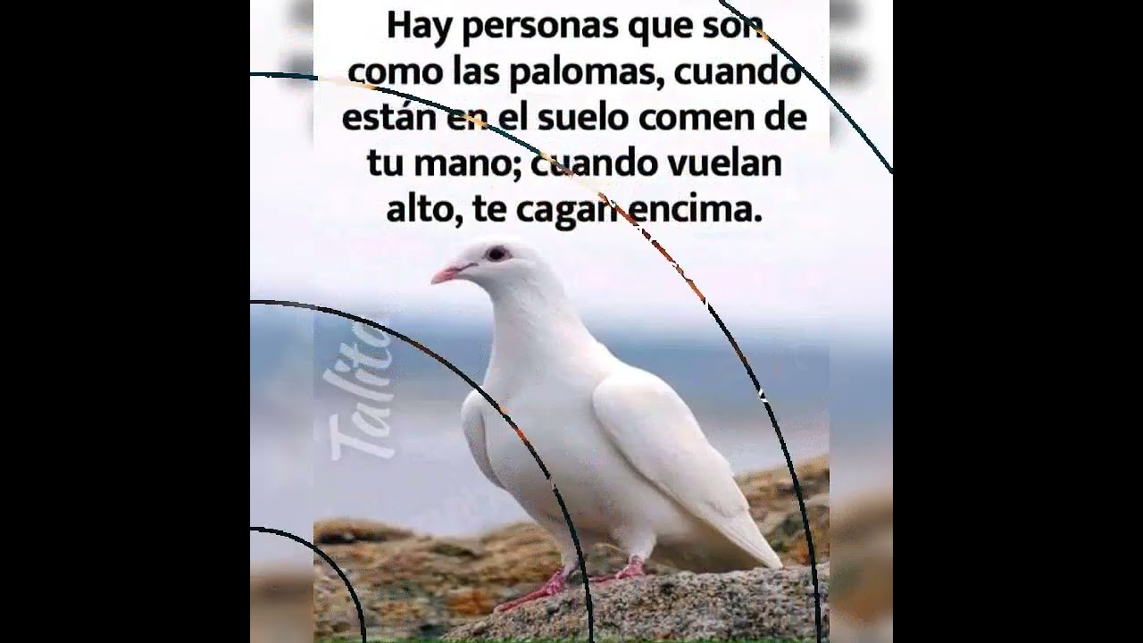 imagenes de teresa con frases bonitas