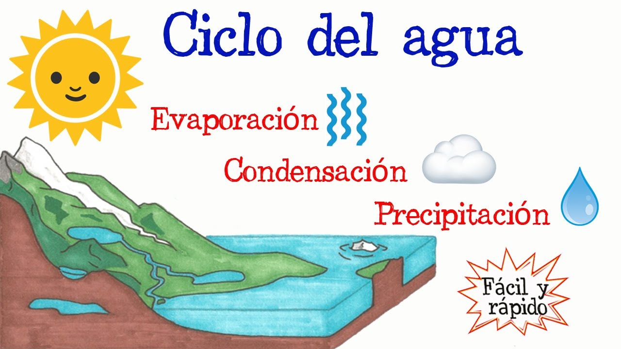mapa mental del ciclo del agua