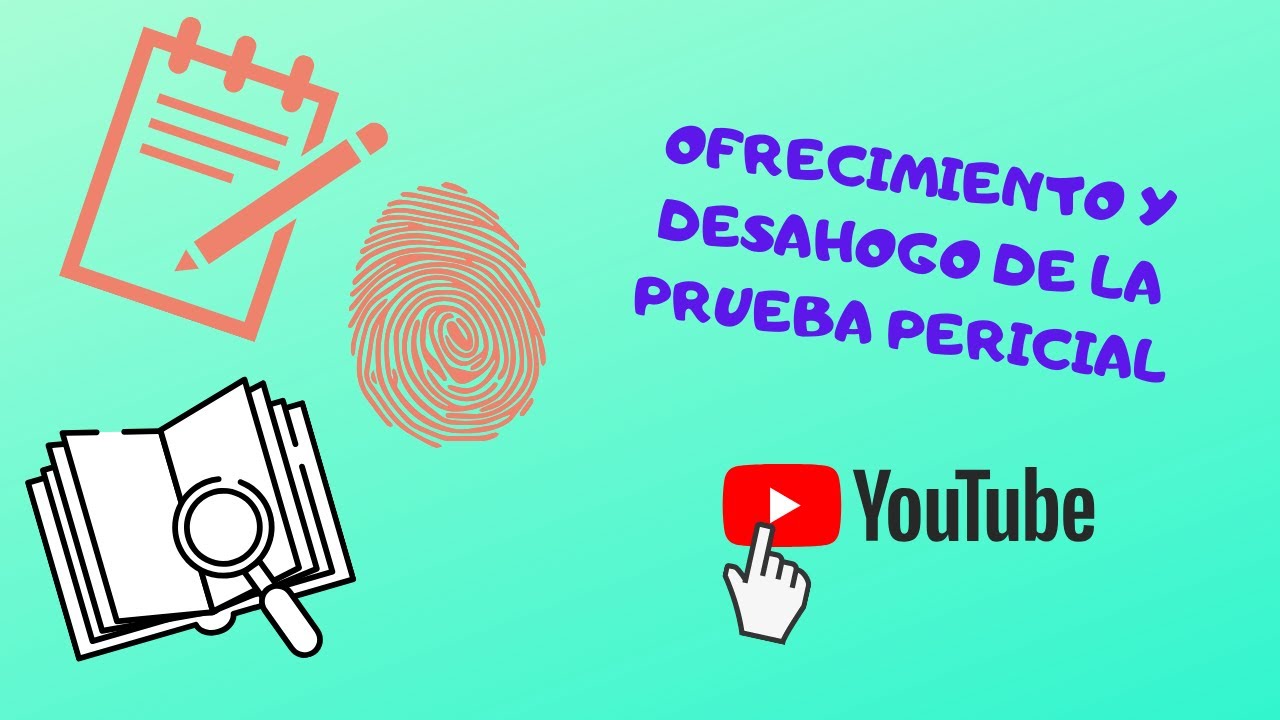 prueba pericial en materia laboral ejemplo