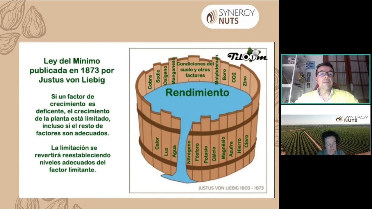 que es la ley del minimo