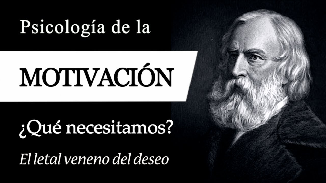 que es la psicologia de la motivacion