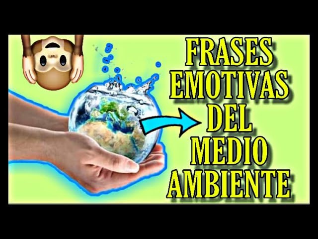 frases para cuidar el medio ambiente reciclando