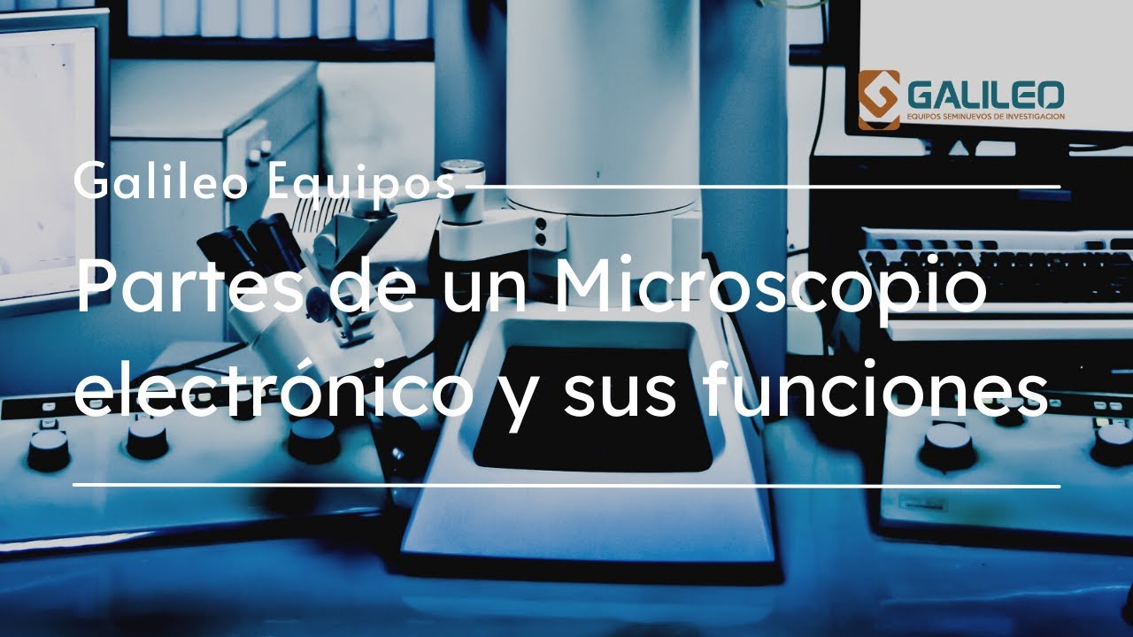 funciones de las partes del microscopio electronico