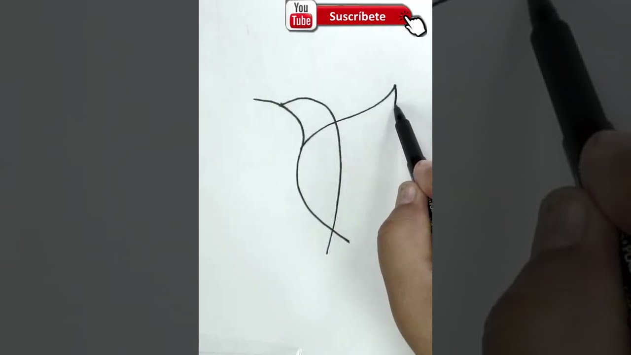 imágenes de colibrí para colorear e imprimir