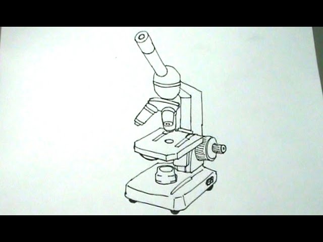 microscopio para dibujar con sus partes facil