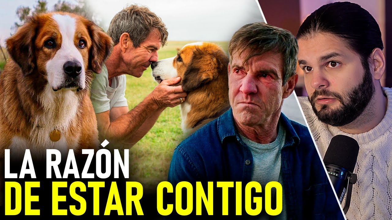 resumen del libro la razon de estar contigo