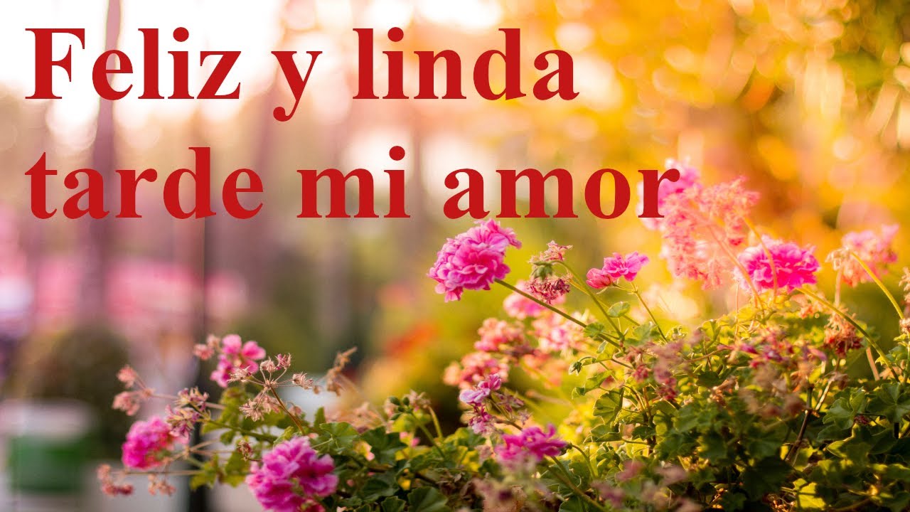 ten una linda tarde mi amor